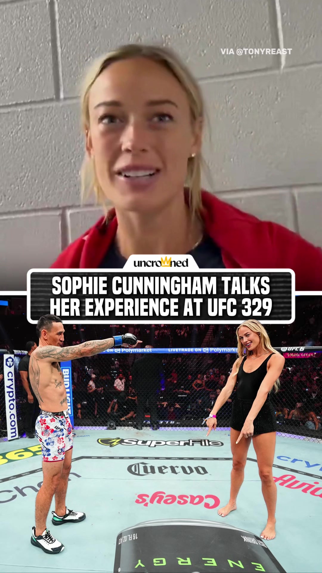 @arielhelwani