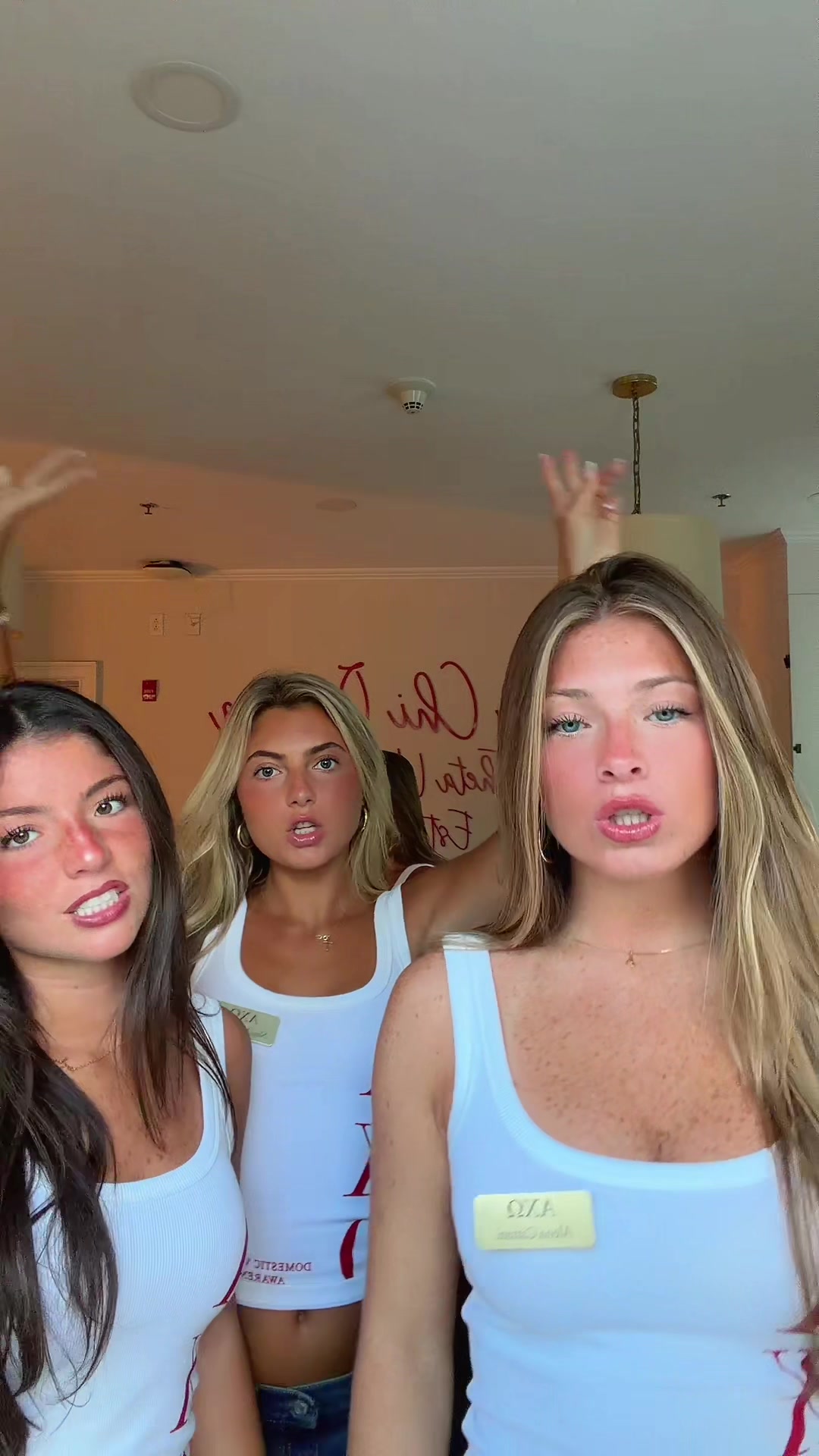 @alena cattani