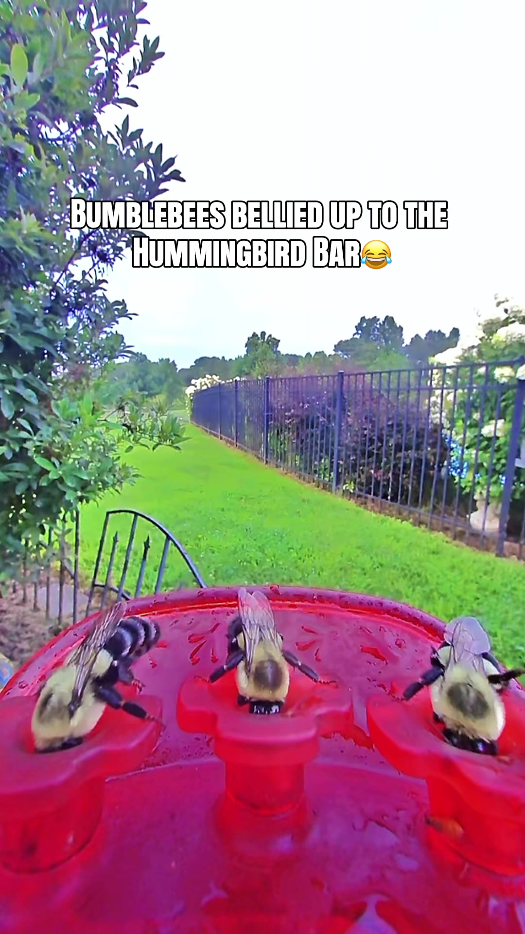 @Andersonacresfarmlife