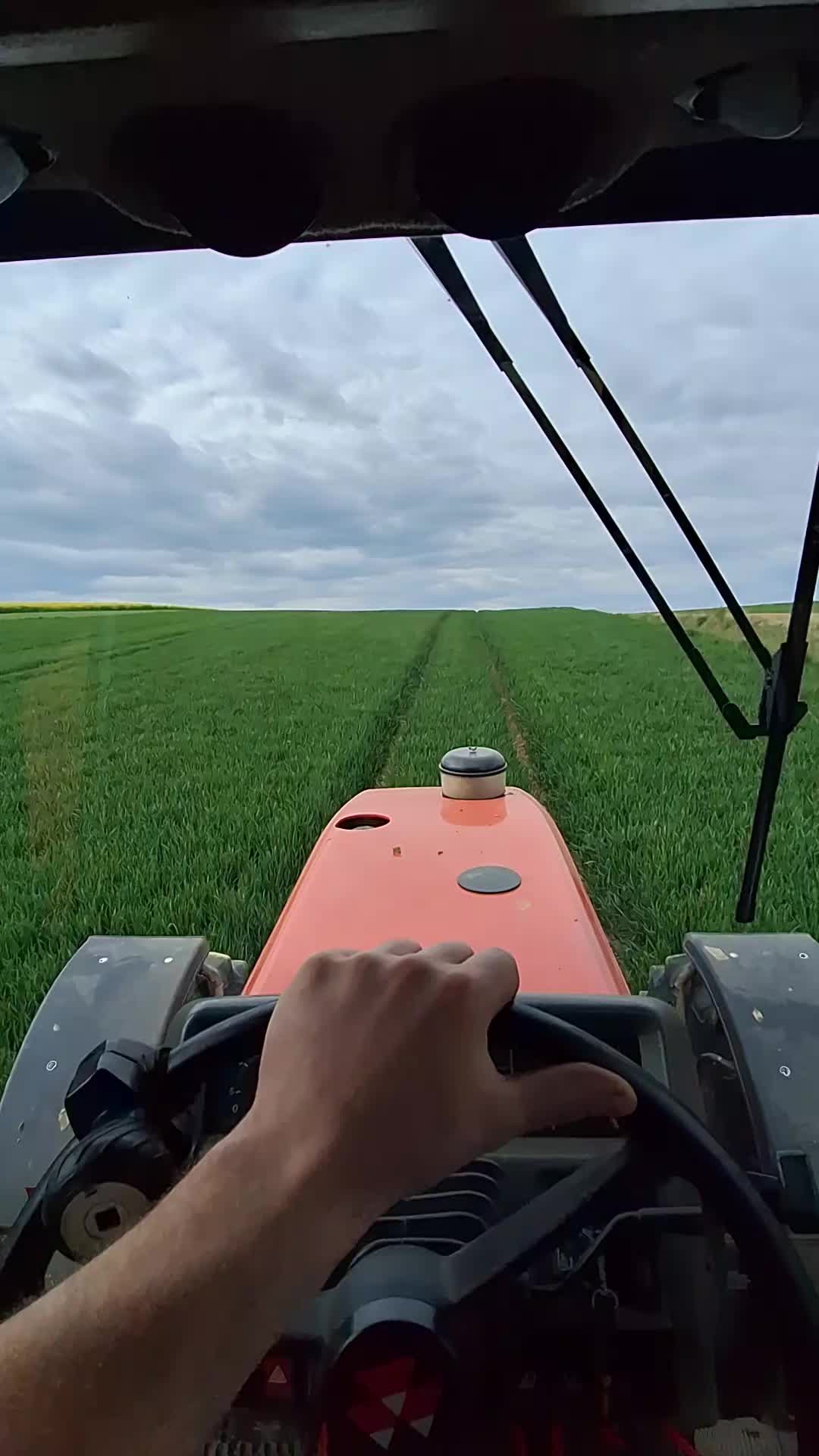 @Michał