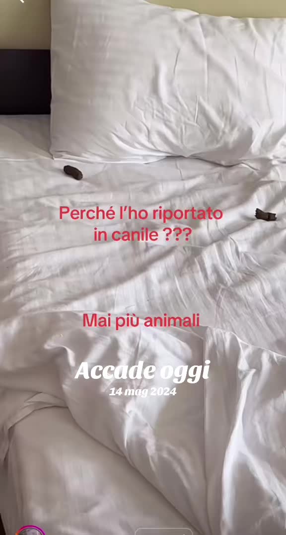 @Mumu