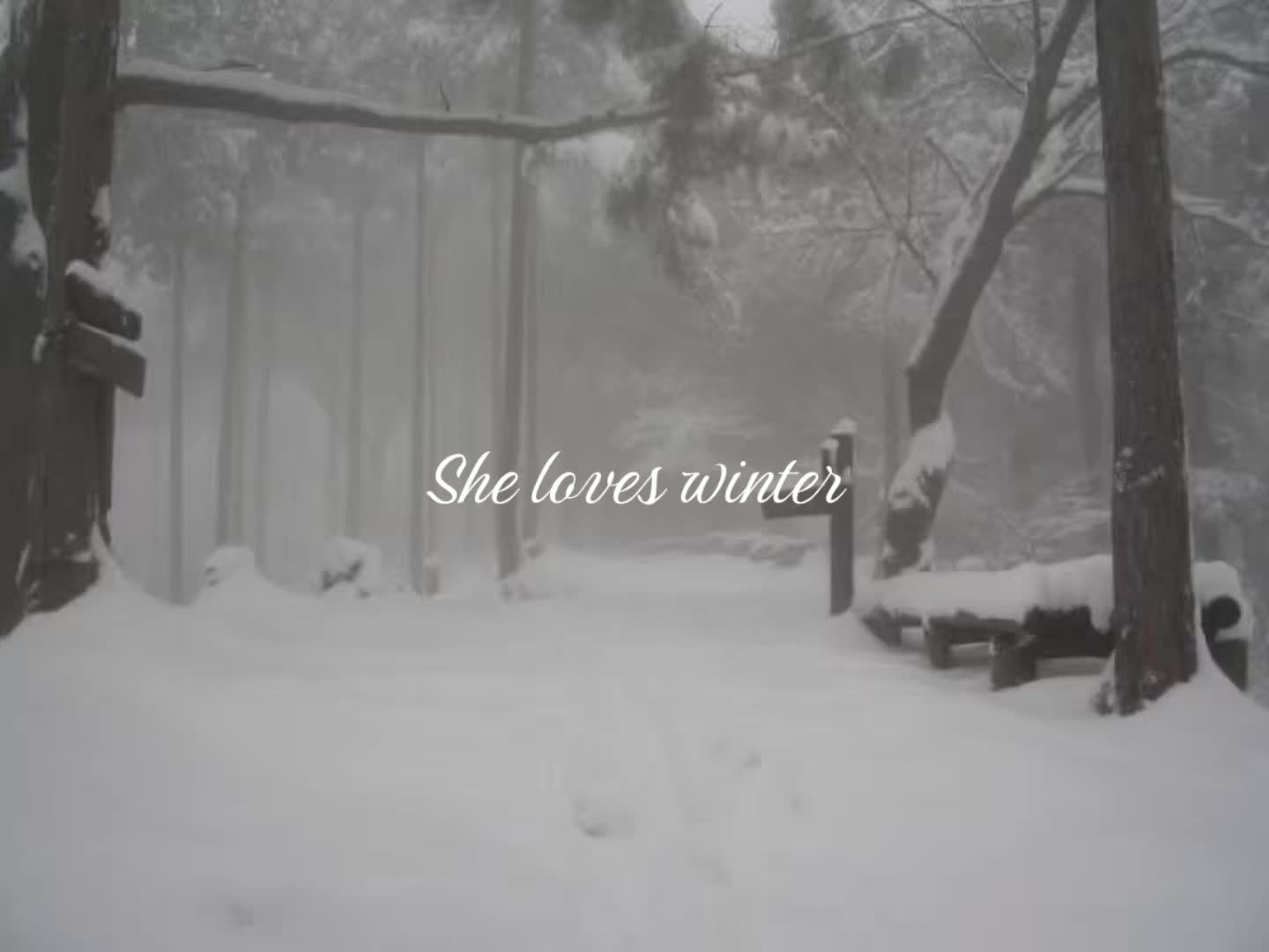 @𝒥ℯ𝒿ℯִֶ ᖭི༏ᖫྀ ࣪ ִֶָ🪽་༘࿐