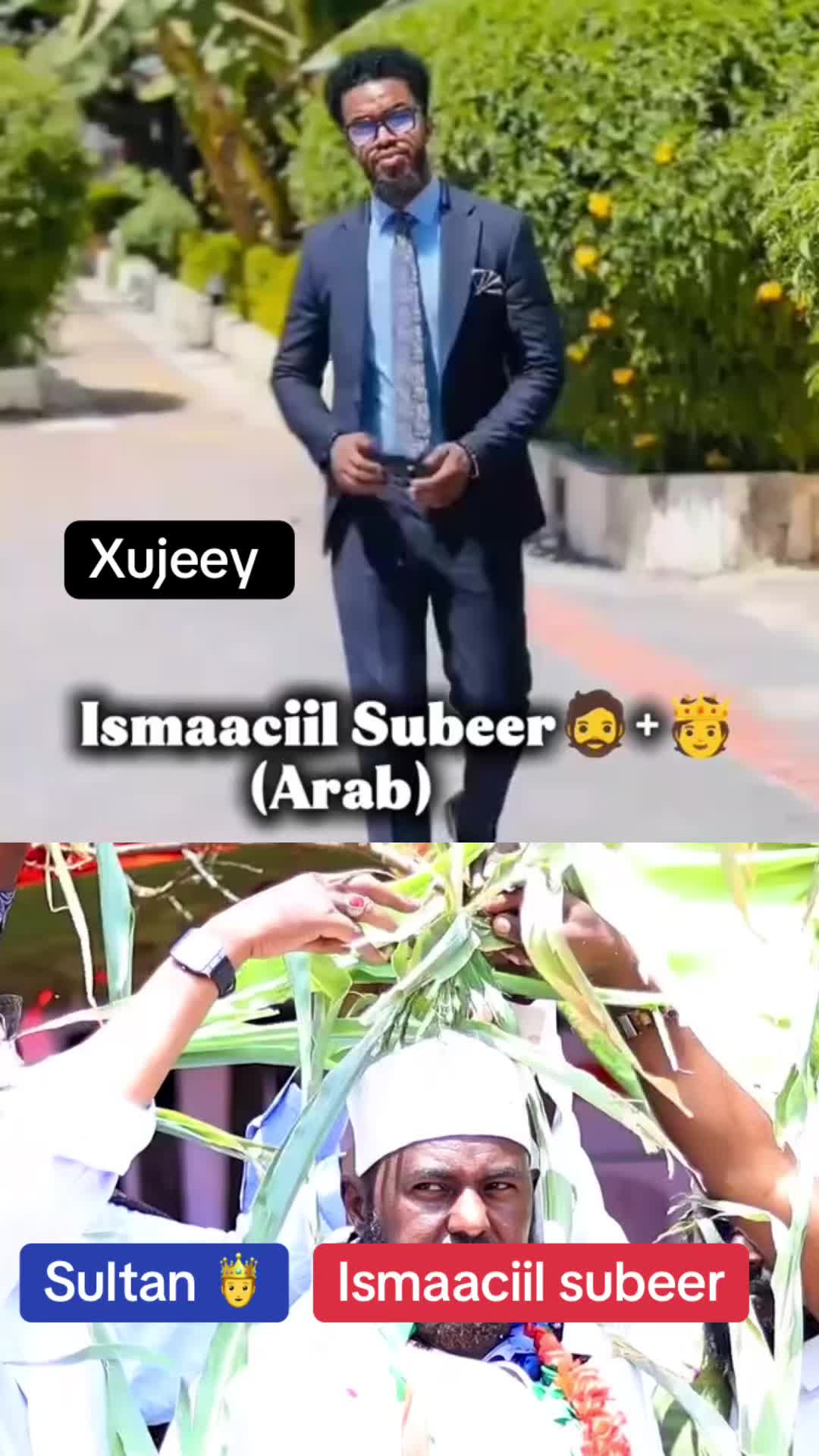 @Arap tv 🐯