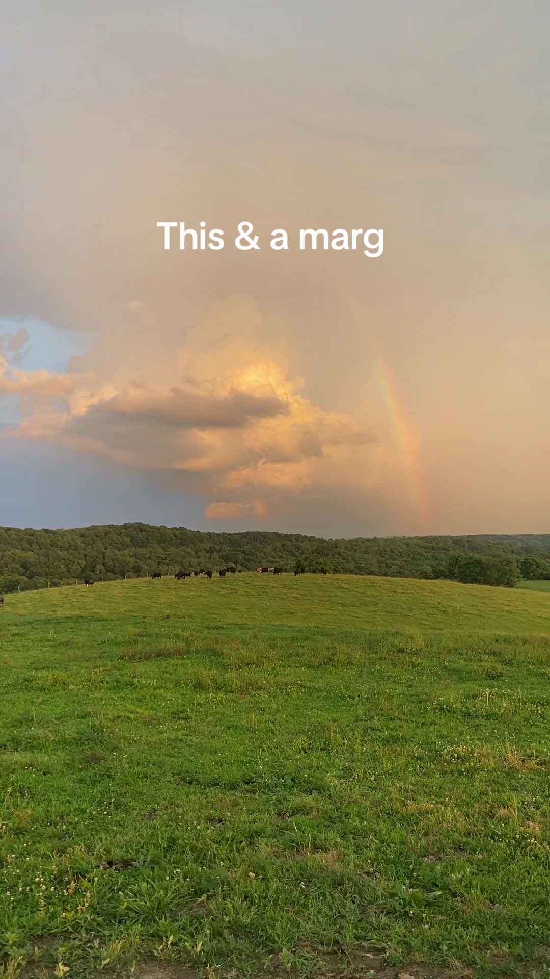 @Strong Family Farms