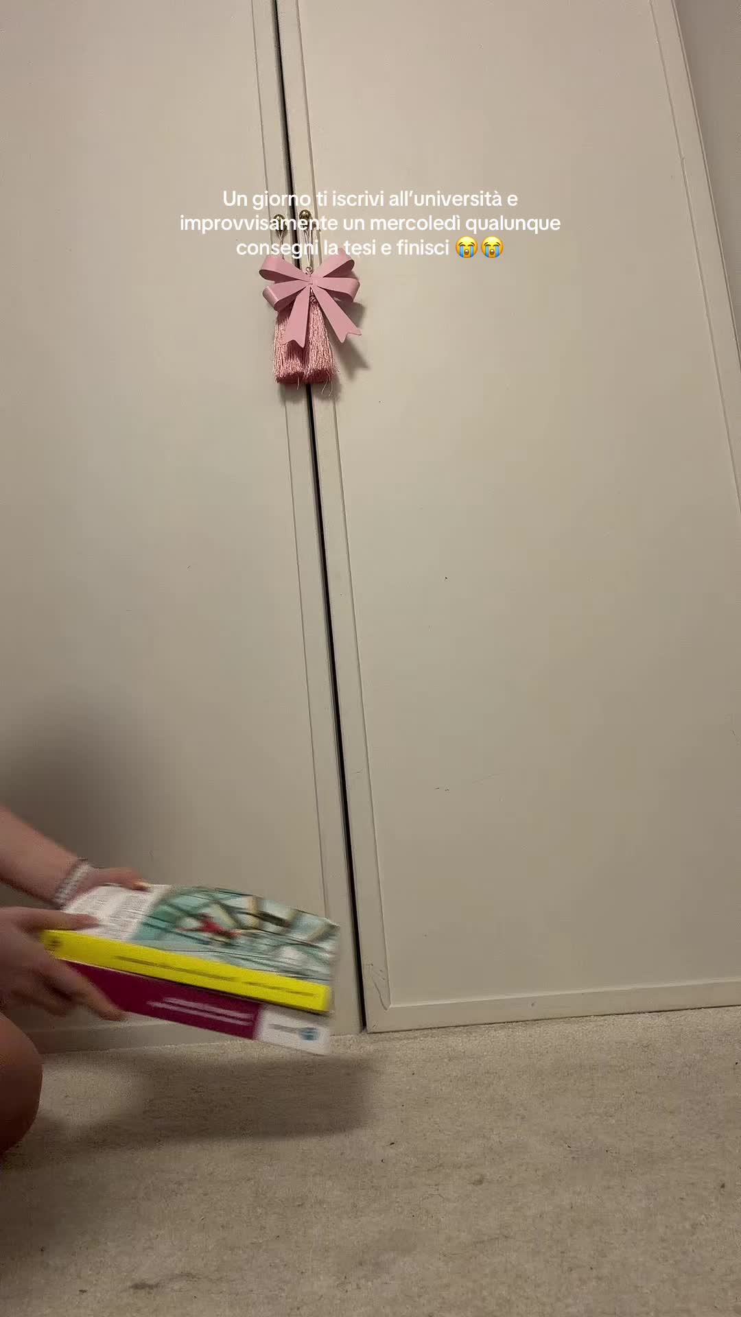 @Camilladanesi