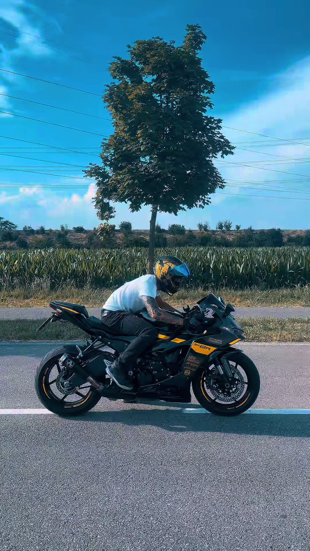 @Elmo.GoldenBoy