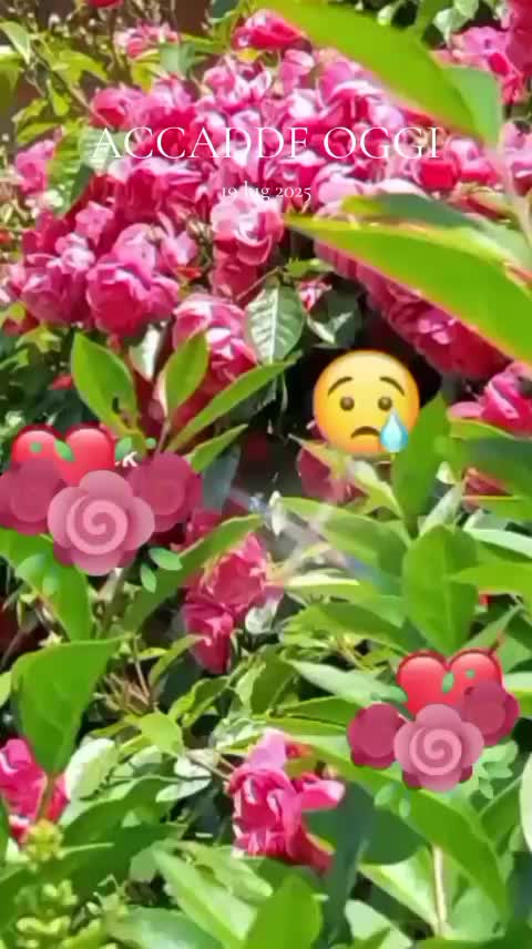 @Lallinil