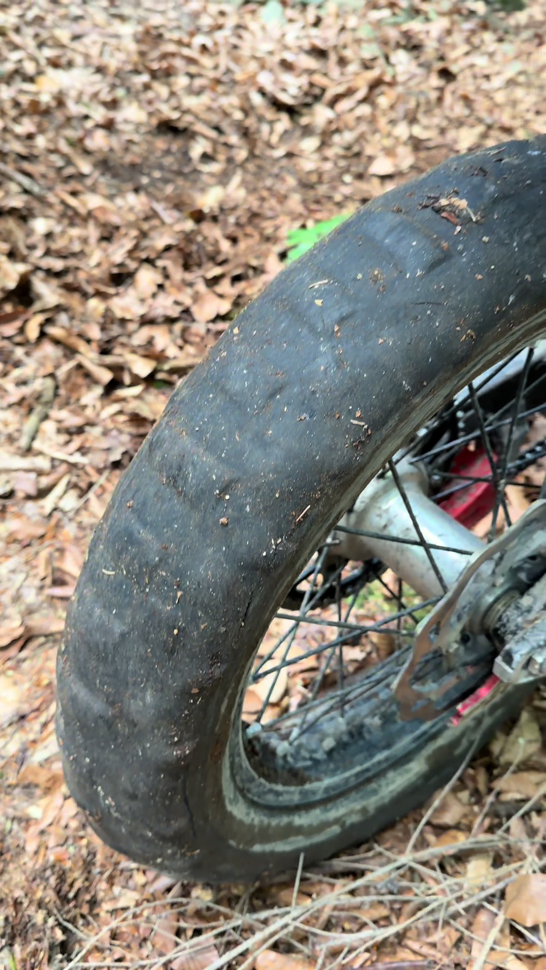 @ENDURO MAJSTRY