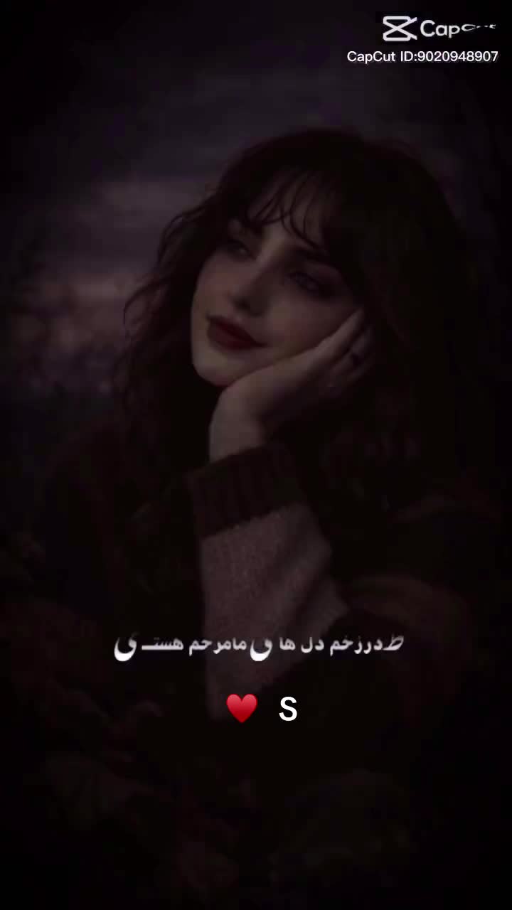 @shakiba Noori