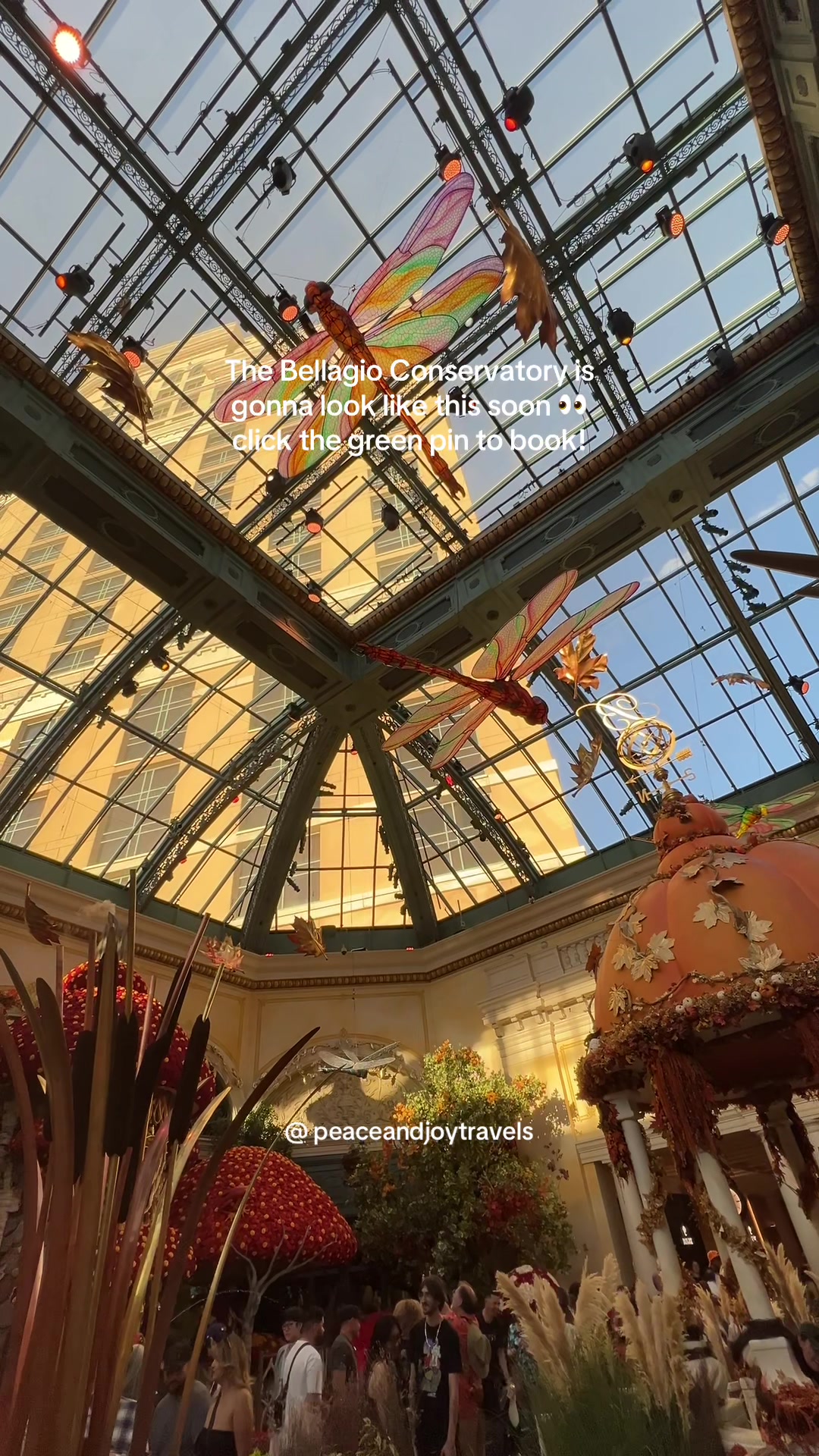 @peaceandjoytravels