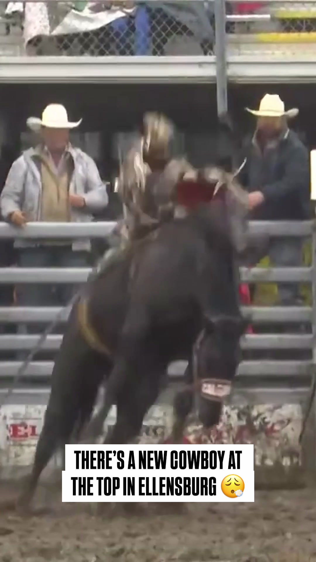 @cowboy_plus