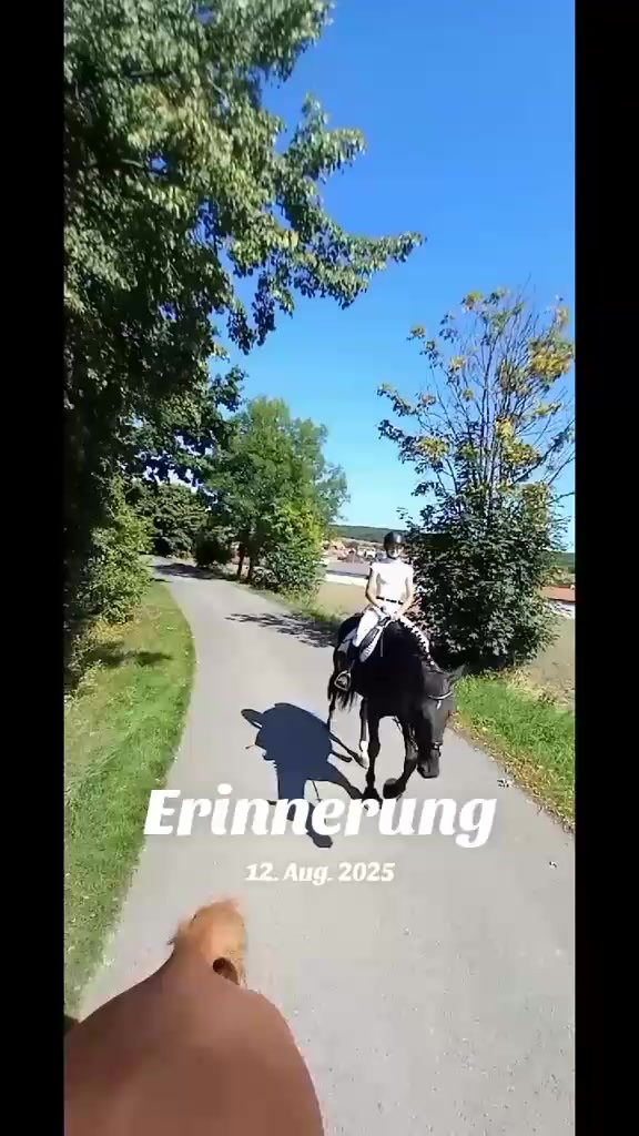 @ponilein1