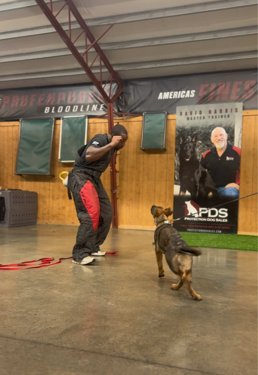 @Protection Dog Sales