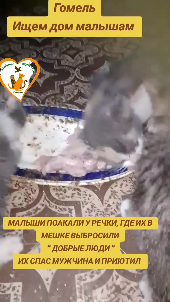 @Марина