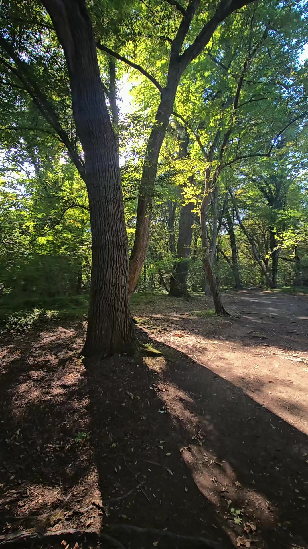 @🐾 Дикая Амазонка👣