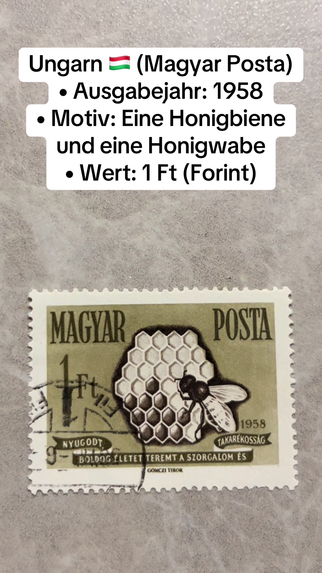 @Münzen king
