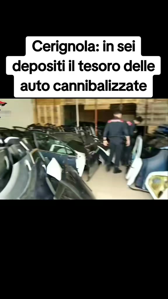 @squadra mobile