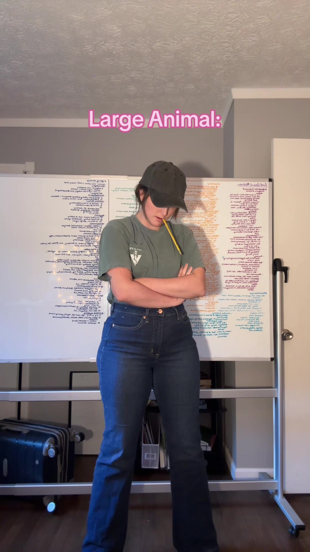 @futuredoctormegdvm