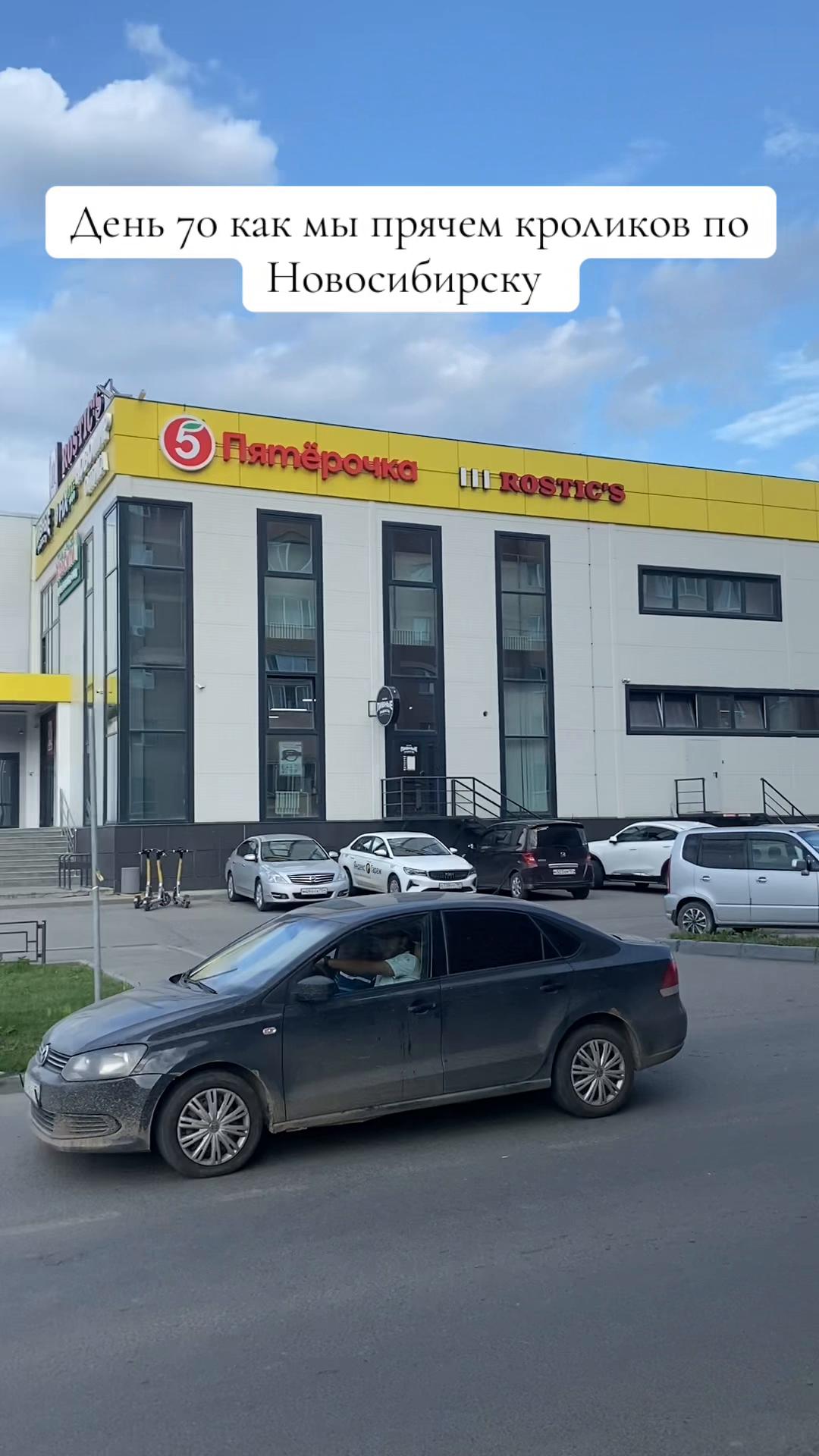 @Кролики