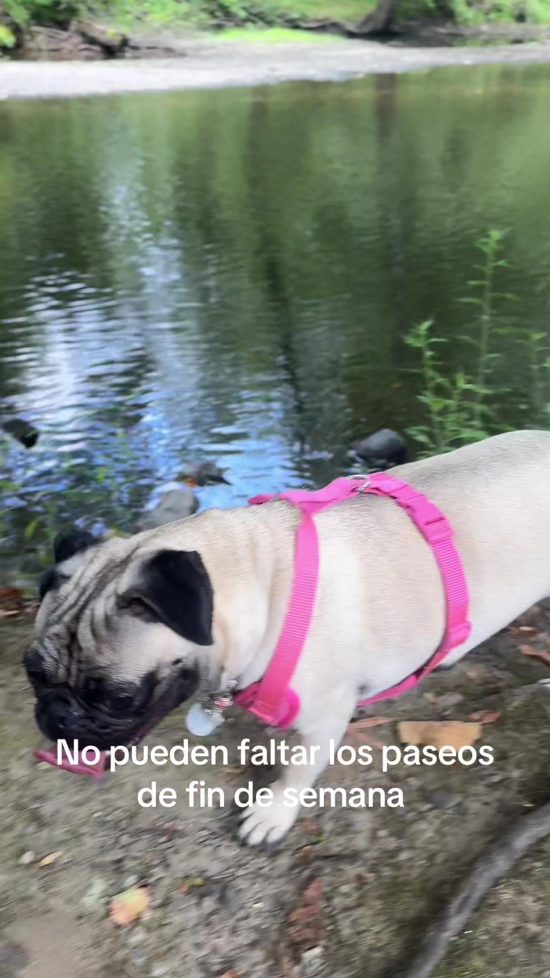 @Morita nicio