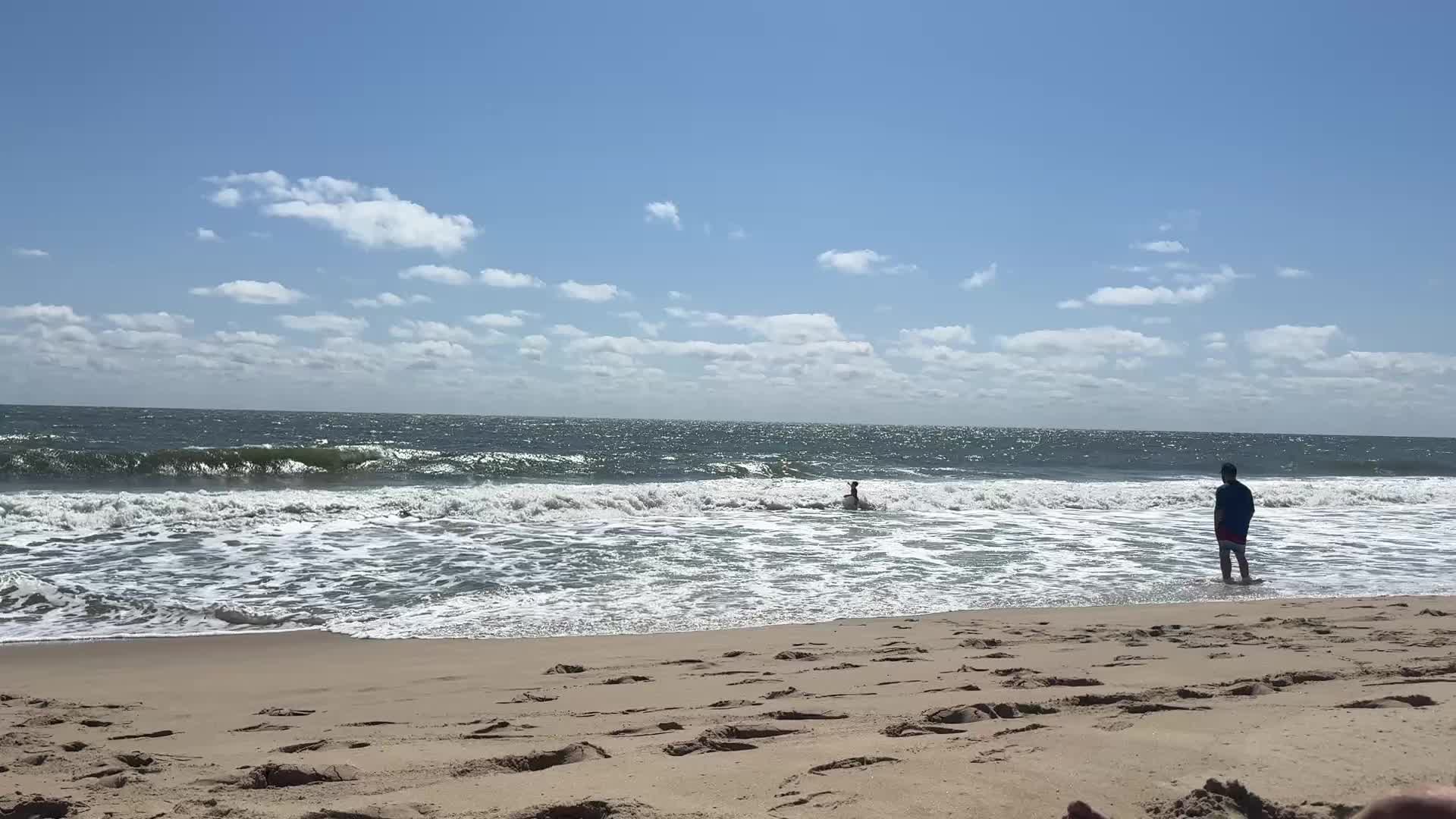 @Bella