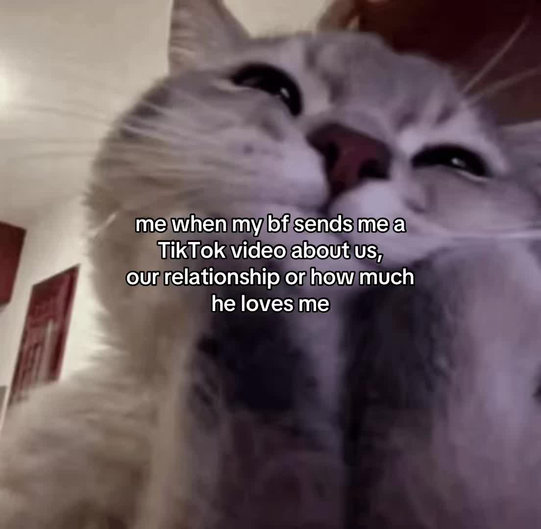 @Alice.cattok