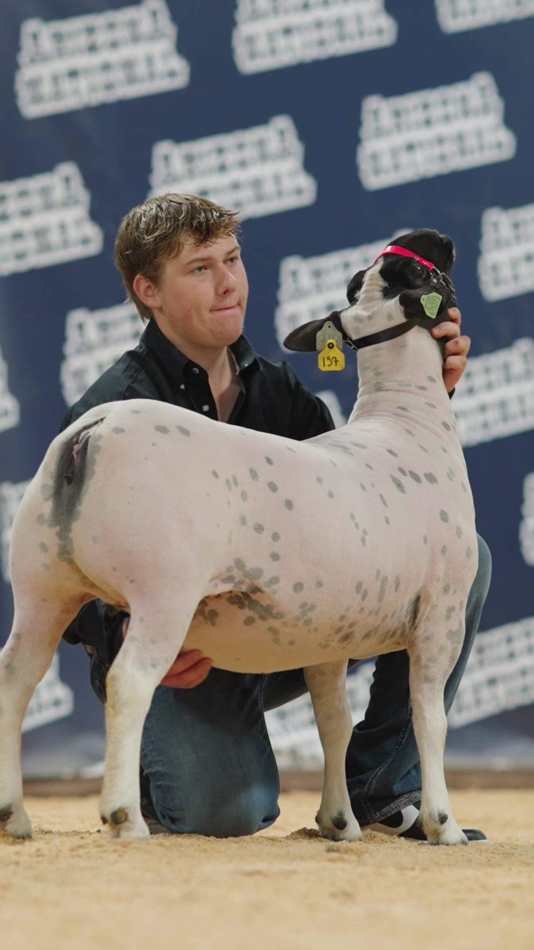 @AZ National Livestock Show
