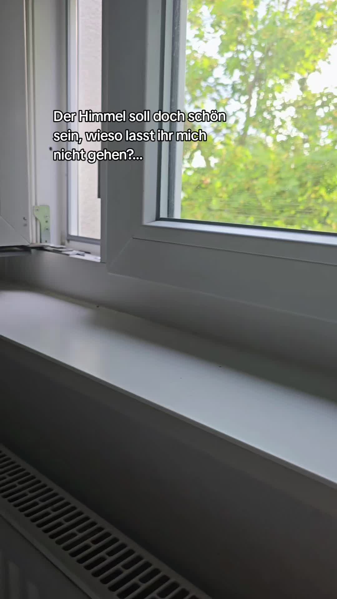 @...