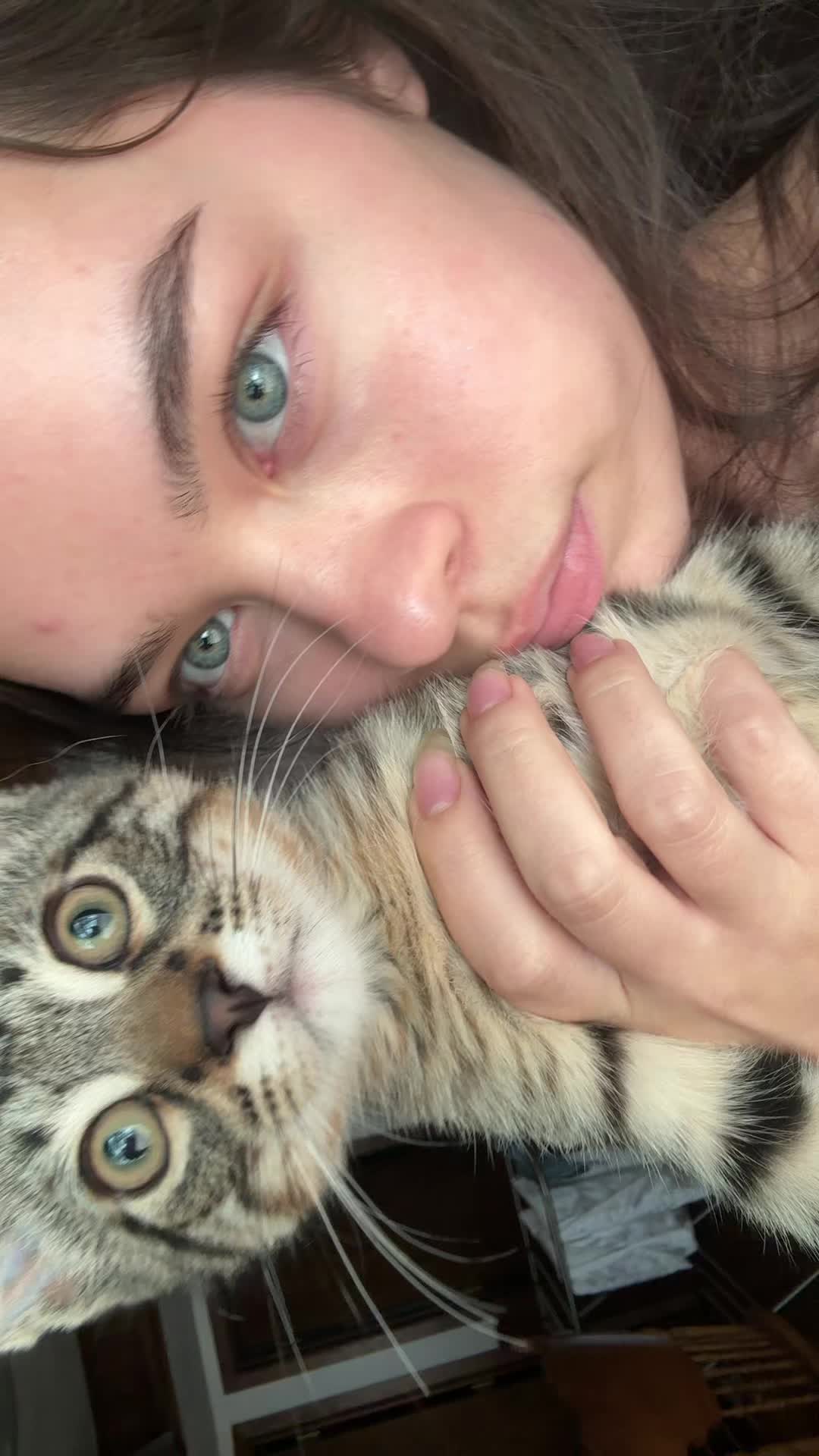 @Kitten