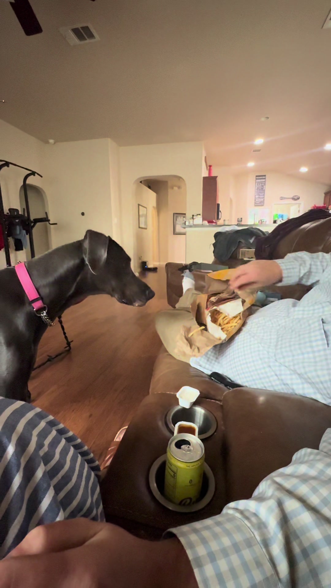 @janethegreatdane