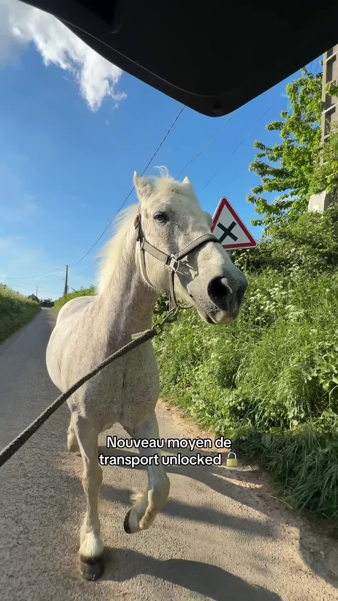 @Mathilde Labat