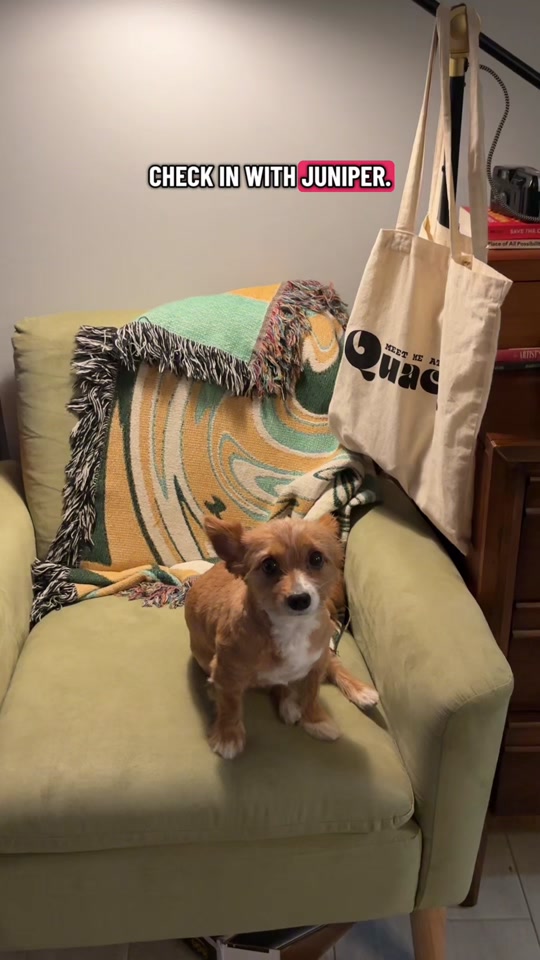 @lesbianlifts