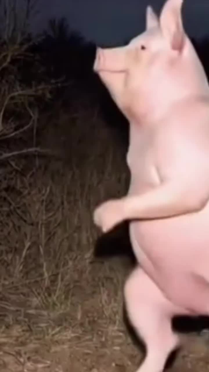 @Chris