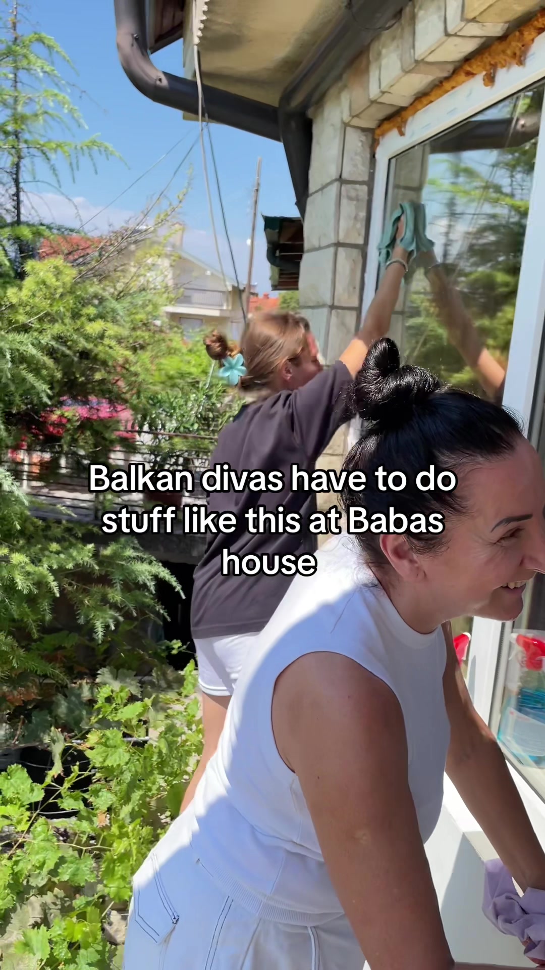 @alegra 🐚
