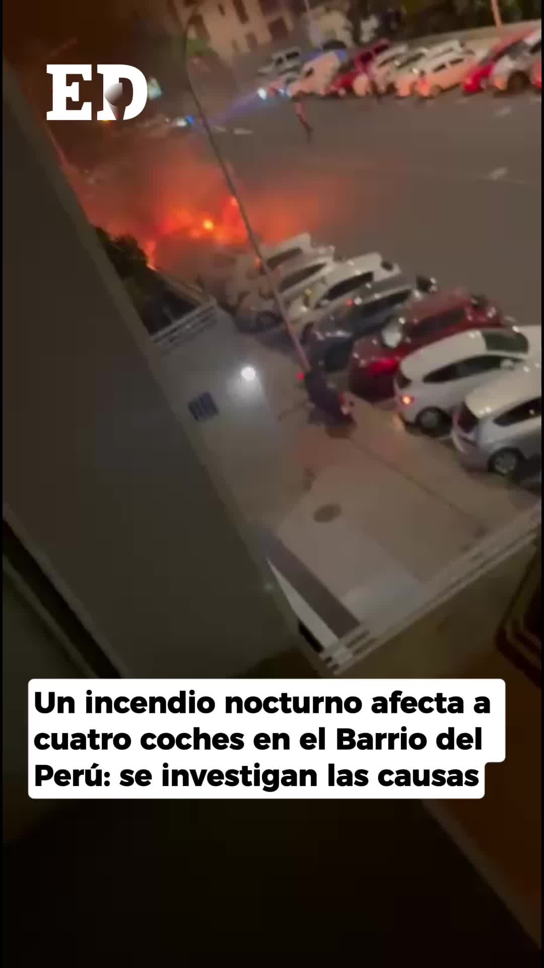 @El Día - Tenerife