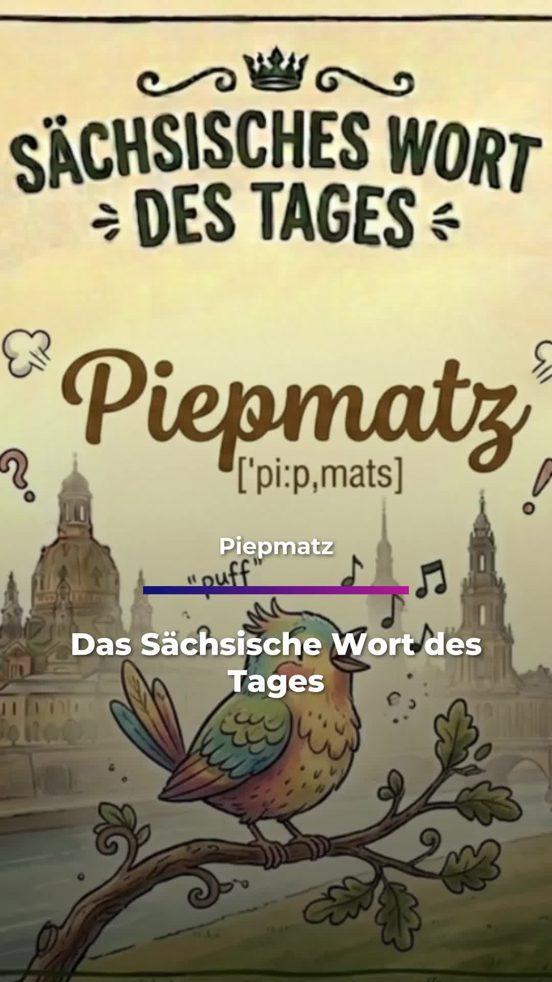 @Sachsen Fernsehen