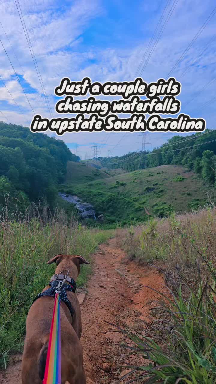 @Jasper_The_Dobiehoula