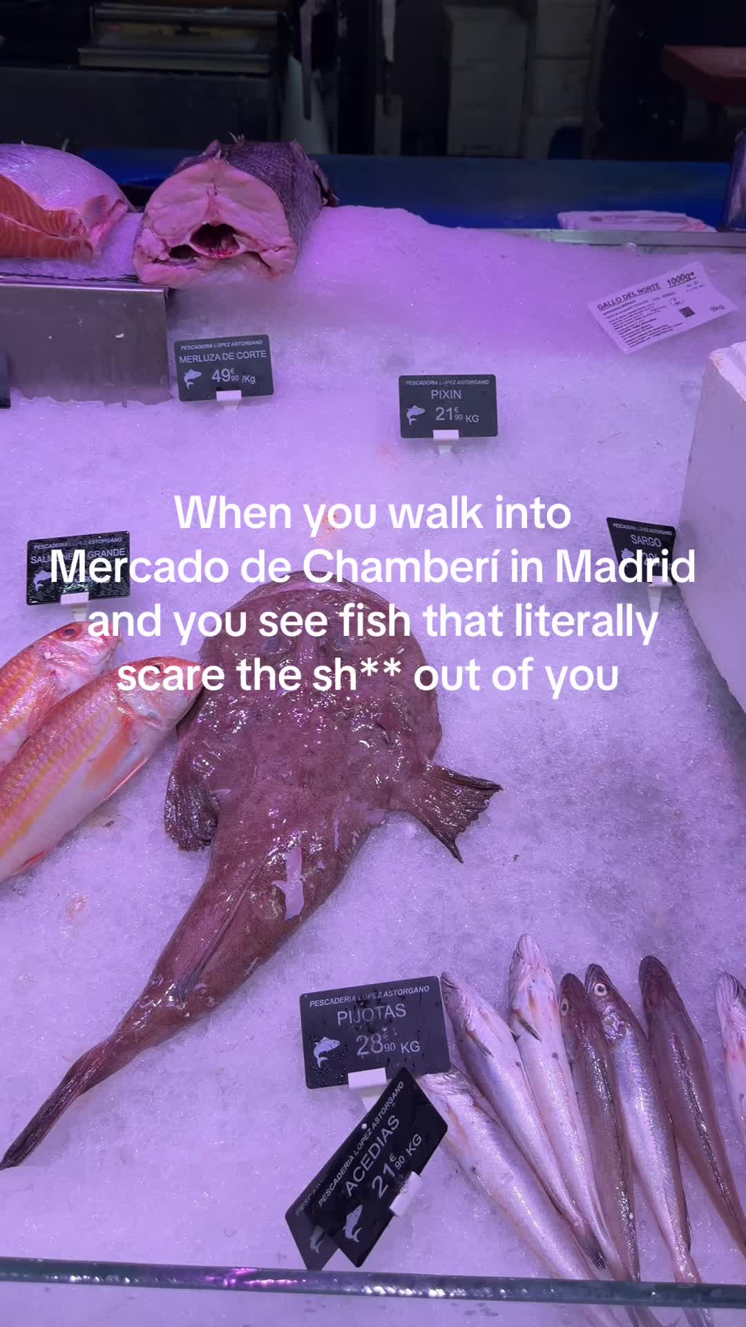 @themaxwellmethod