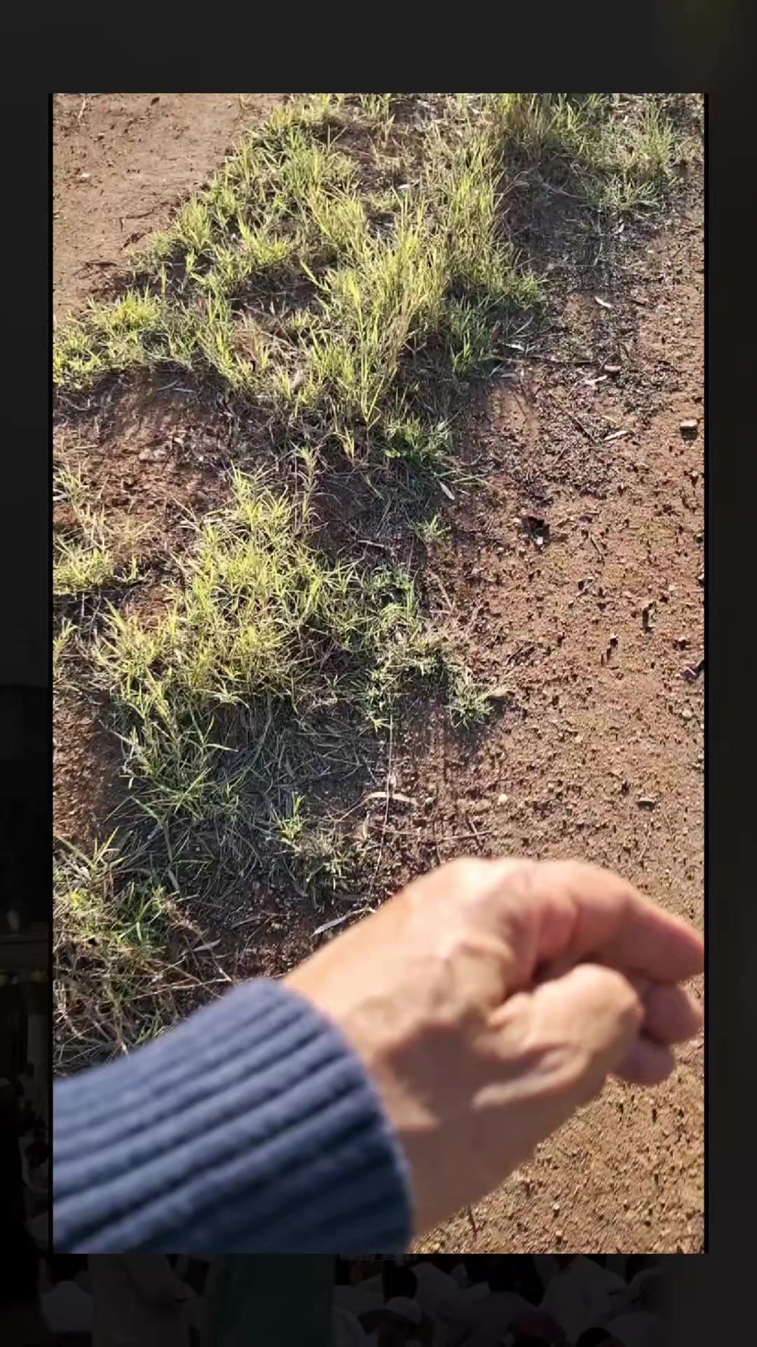 @Uthinkithot_Capcut organic