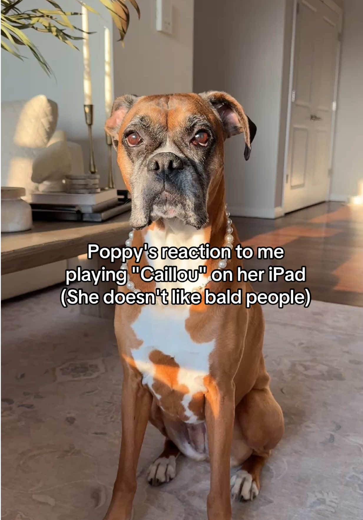 @Princess Poppy