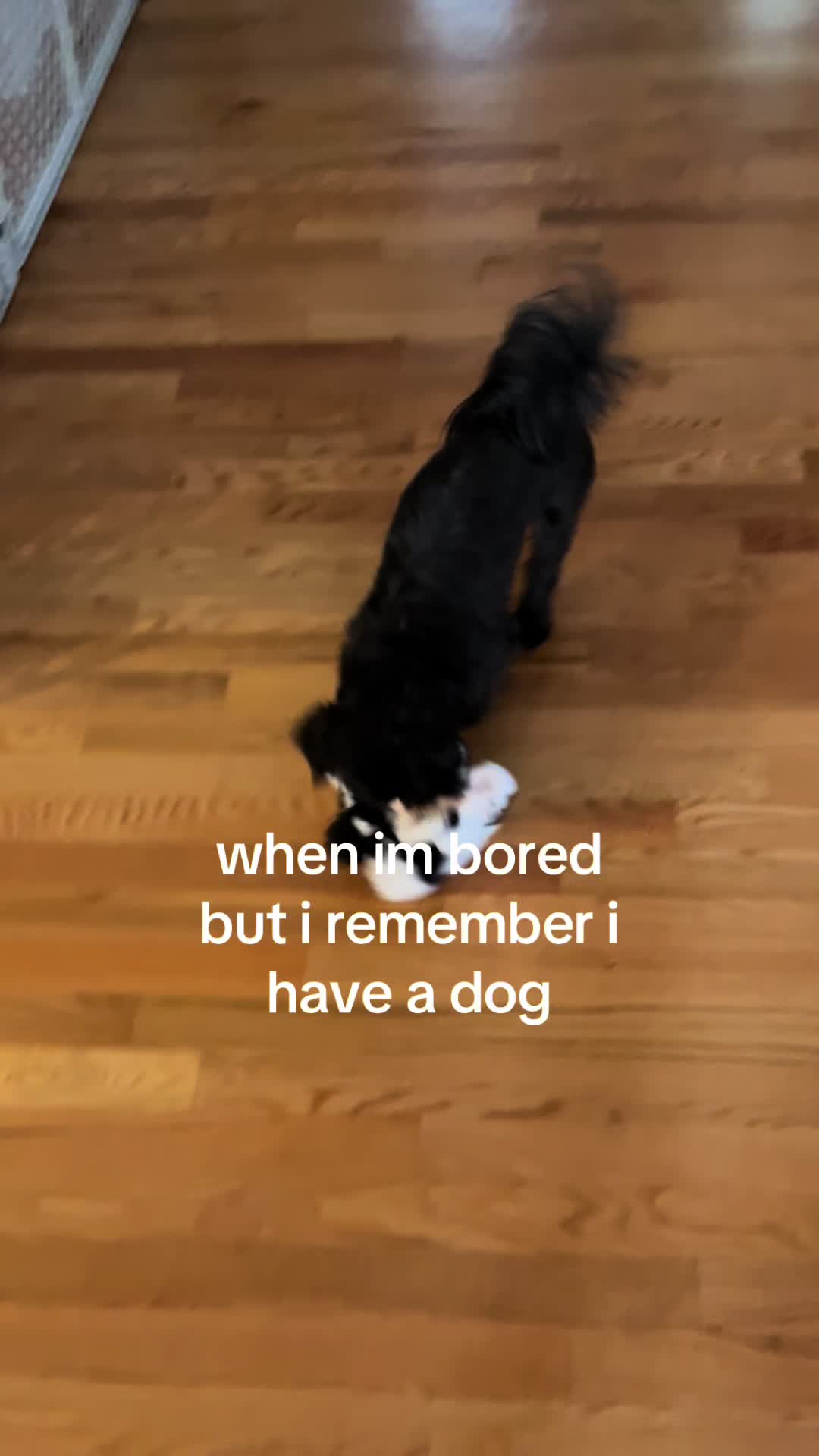 @Maria