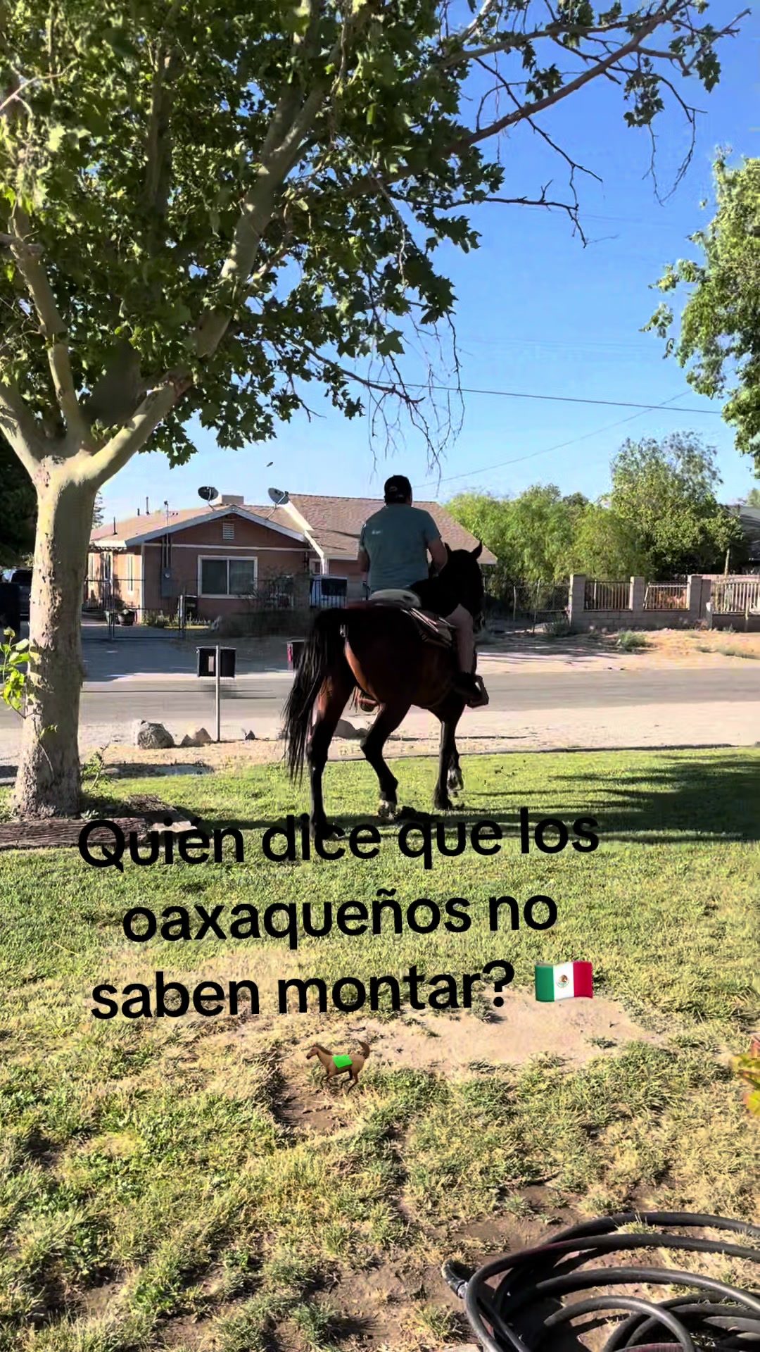 @Cynthia Velez