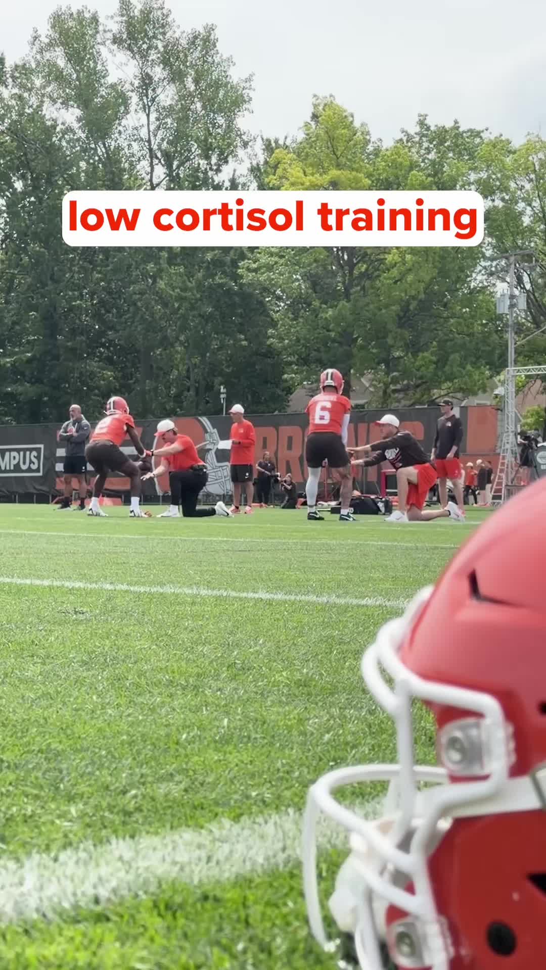 @Cleveland Browns