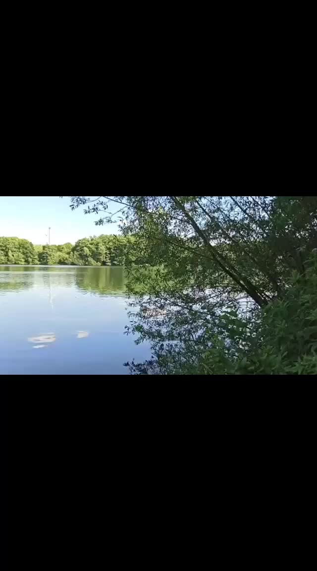 @Angelgerne