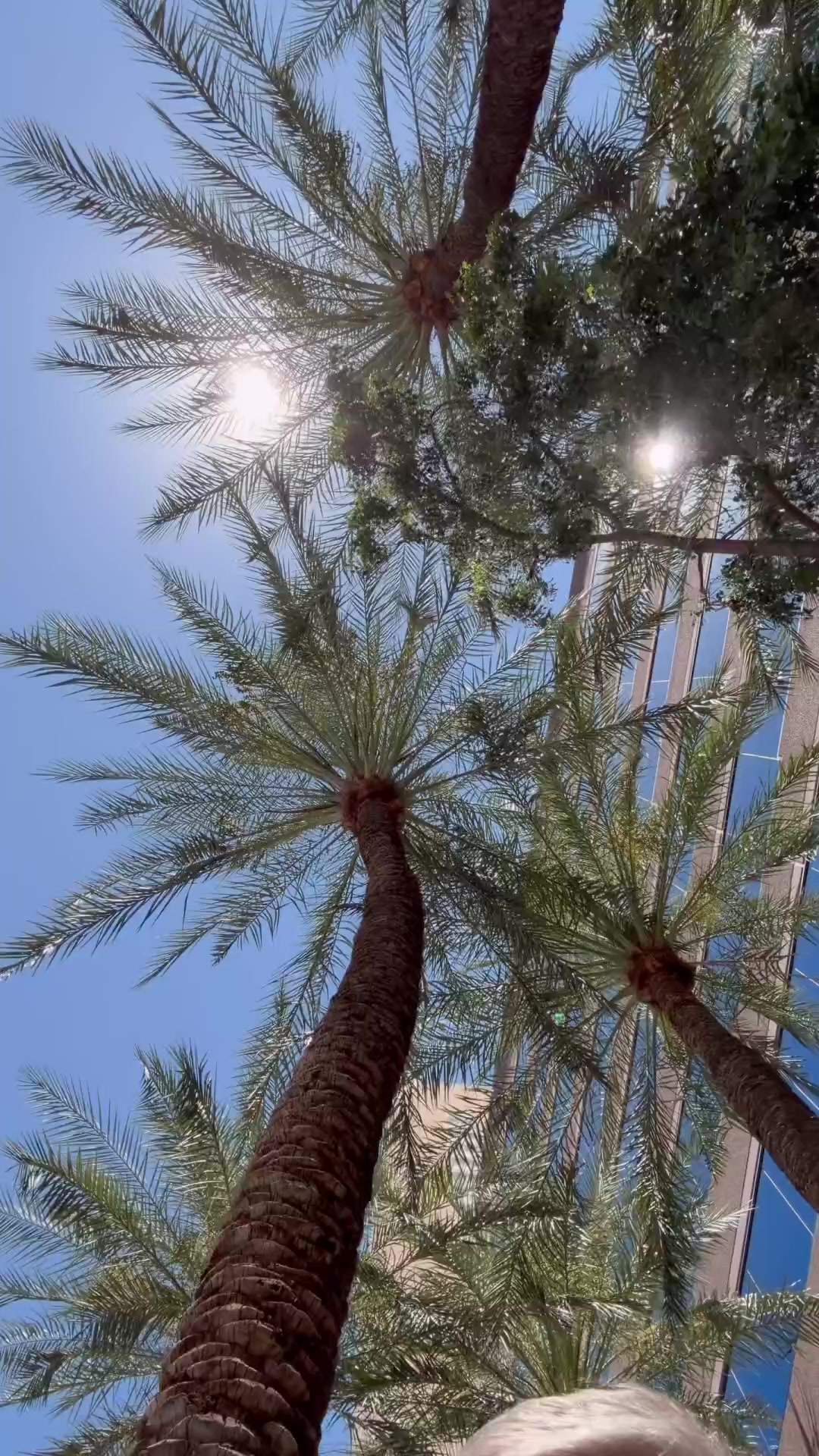 @12newsaz