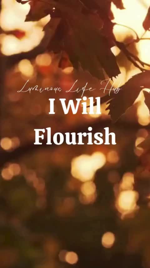 @Luminous Life Hub