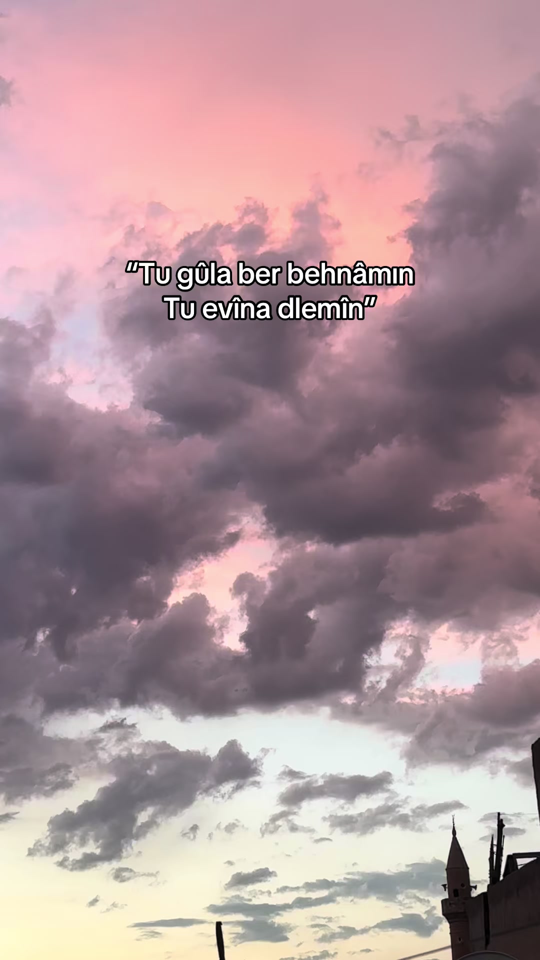 @Xexexe