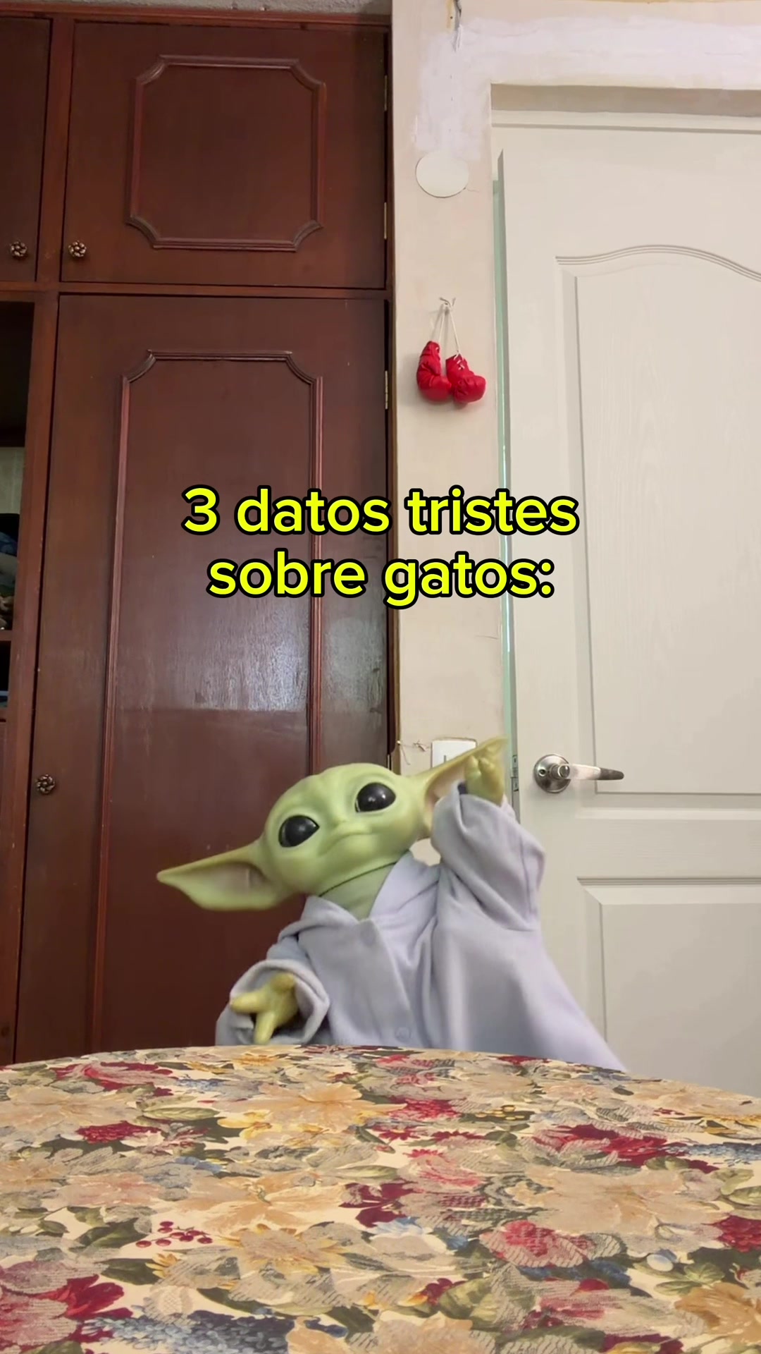 @Yodabeibi