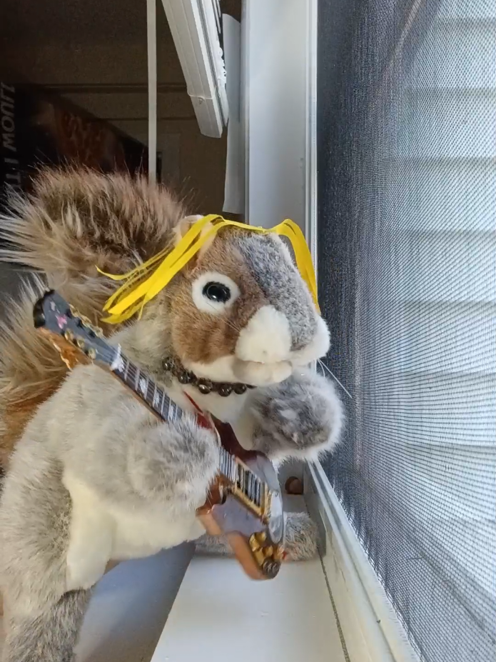@Charles The Squirrel