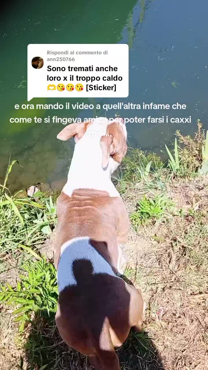 @La tribù del conte Max